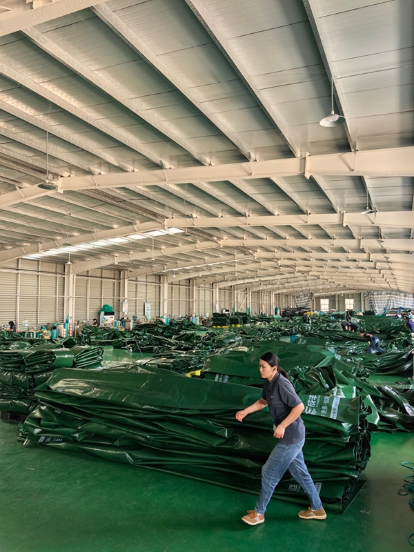 成丰货运OEM定制