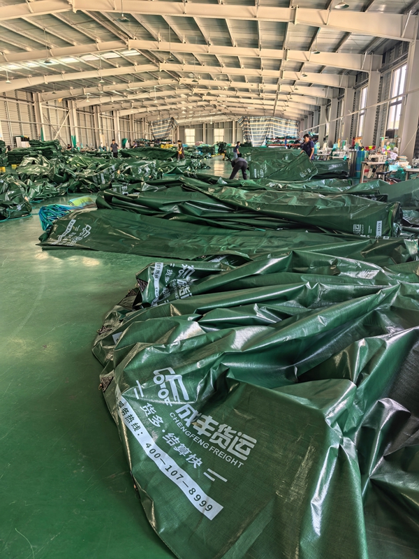 成丰货运OEM定制