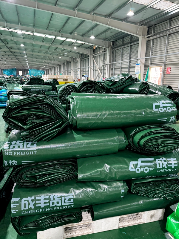 成丰货运OEM定制